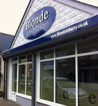 perms, colours, highlights, lowlights, tints and blow-drying